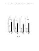 NOTCH INHIBITION IN THE TREATMENT AND PREVENTION OF OBESITY diagram and image