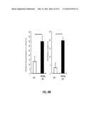 NOTCH INHIBITION IN THE TREATMENT AND PREVENTION OF OBESITY diagram and image