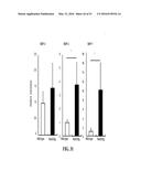 NOTCH INHIBITION IN THE TREATMENT AND PREVENTION OF OBESITY diagram and image