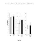 NOTCH INHIBITION IN THE TREATMENT AND PREVENTION OF OBESITY diagram and image