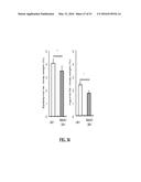 NOTCH INHIBITION IN THE TREATMENT AND PREVENTION OF OBESITY diagram and image