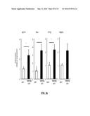 NOTCH INHIBITION IN THE TREATMENT AND PREVENTION OF OBESITY diagram and image