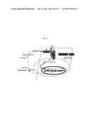 NOVEL ANTI-NODAL ANTIBODIES AND METHODS OF USING SAME diagram and image