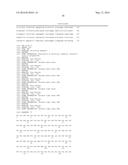 ANTIBODIES TO HUMAN RESISTIN diagram and image