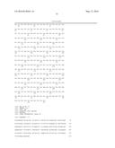 ANTIBODIES TO HUMAN RESISTIN diagram and image