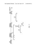 ANTIBODIES TO THE B12-TRANSCOBALAMIN RECEPTOR diagram and image