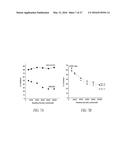 ANTIBODIES TO THE B12-TRANSCOBALAMIN RECEPTOR diagram and image