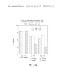 ANTIBODIES TO THE B12-TRANSCOBALAMIN RECEPTOR diagram and image