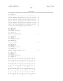 ANTIBODIES TO THE B12-TRANSCOBALAMIN RECEPTOR diagram and image