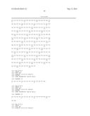 ANTIBODIES TO THE B12-TRANSCOBALAMIN RECEPTOR diagram and image