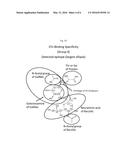 GLYCAN-INTERACTING COMPOUNDS AND METHODS OF USE diagram and image