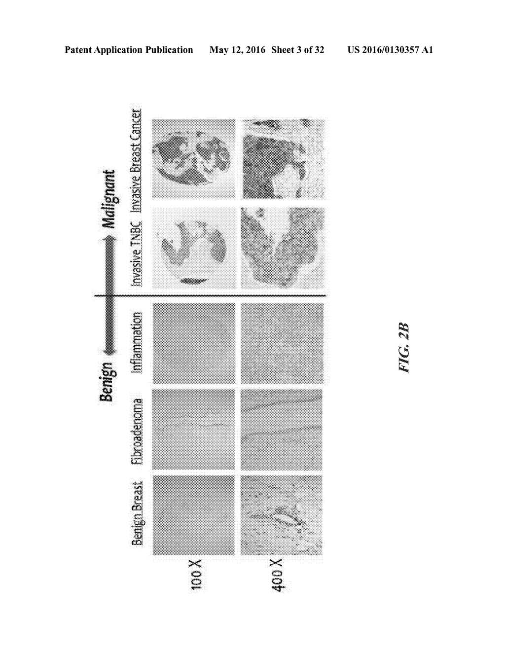 COMPOSITIONS COMPRISING CHIMERIC ANTIGEN RECEPTORS, T CELLS COMPRISING THE     SAME, AND METHODS OF USING THE SAME - diagram, schematic, and image 04