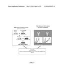 COMPOSITIONS COMPRISING CHIMERIC ANTIGEN RECEPTORS, T CELLS COMPRISING THE     SAME, AND METHODS OF USING THE SAME diagram and image