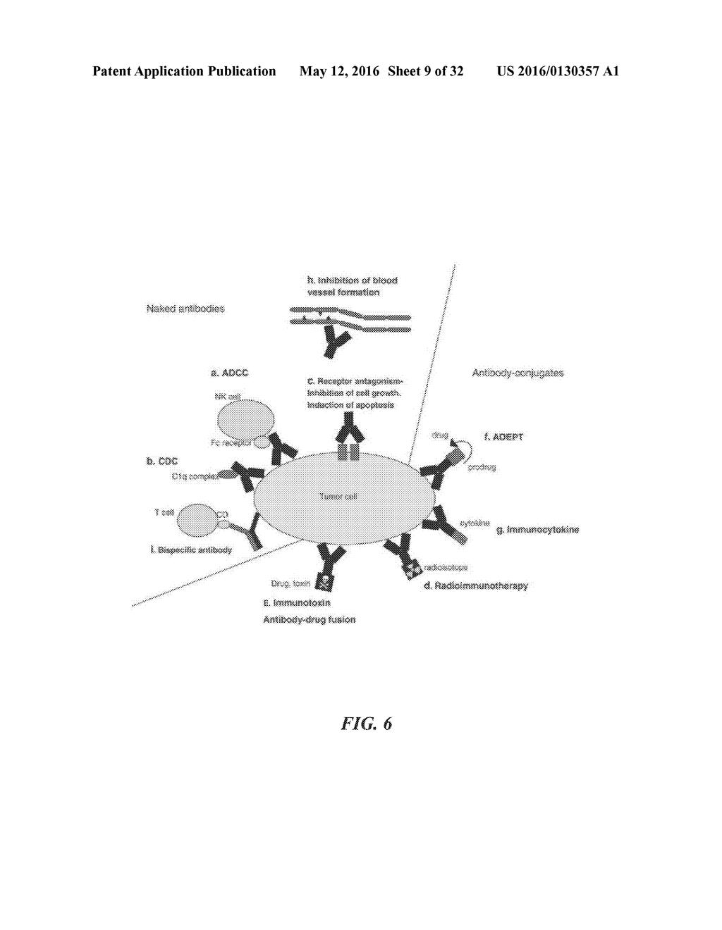 COMPOSITIONS COMPRISING CHIMERIC ANTIGEN RECEPTORS, T CELLS COMPRISING THE     SAME, AND METHODS OF USING THE SAME - diagram, schematic, and image 10