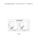 COMPOSITIONS COMPRISING CHIMERIC ANTIGEN RECEPTORS, T CELLS COMPRISING THE     SAME, AND METHODS OF USING THE SAME diagram and image