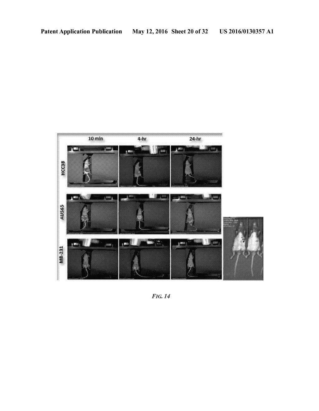 COMPOSITIONS COMPRISING CHIMERIC ANTIGEN RECEPTORS, T CELLS COMPRISING THE     SAME, AND METHODS OF USING THE SAME - diagram, schematic, and image 21