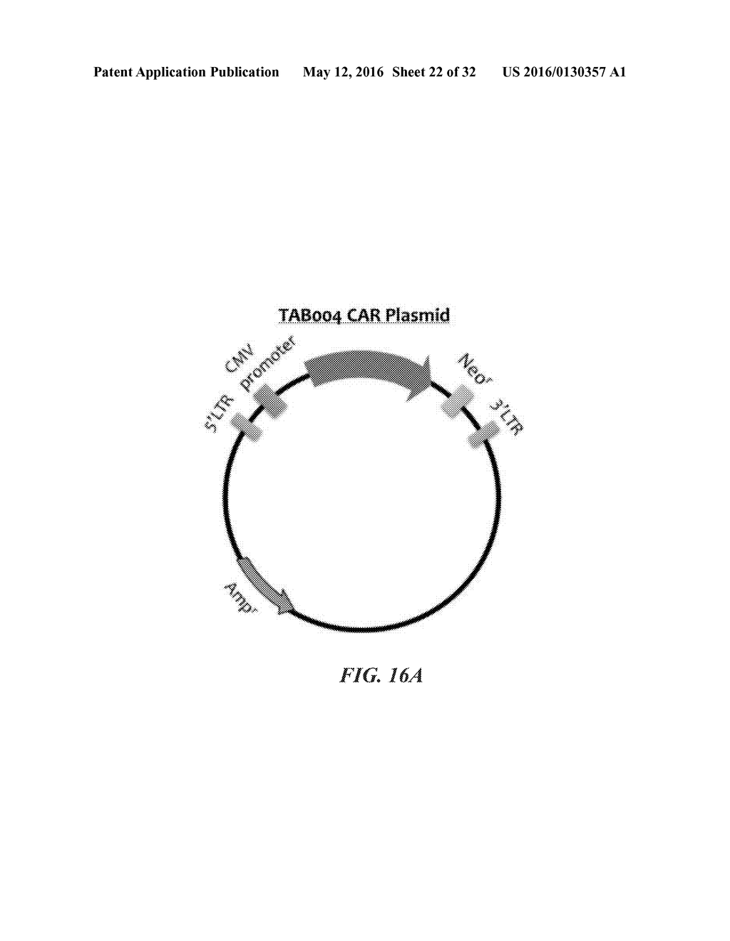 COMPOSITIONS COMPRISING CHIMERIC ANTIGEN RECEPTORS, T CELLS COMPRISING THE     SAME, AND METHODS OF USING THE SAME - diagram, schematic, and image 23