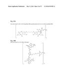 CYSTEINE ENGINEERED ANTIBODIES AND CONJUGATES diagram and image