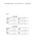 CYSTEINE ENGINEERED ANTIBODIES AND CONJUGATES diagram and image