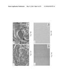 COMPOSITIONS AND STRUCTURES INCLUDING NONAGGREGATED STABILIZED CHARGED     POLYSACCHARIDE NANOFIBERS, METHODS OF MAKING NONAGGREGATED STABILIZED     CHARGED POLYSACCHARIDE NANOFIBERS, AND METHOD OF MAKING STRUCTURES diagram and image