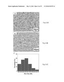 COMPOSITIONS AND STRUCTURES INCLUDING NONAGGREGATED STABILIZED CHARGED     POLYSACCHARIDE NANOFIBERS, METHODS OF MAKING NONAGGREGATED STABILIZED     CHARGED POLYSACCHARIDE NANOFIBERS, AND METHOD OF MAKING STRUCTURES diagram and image