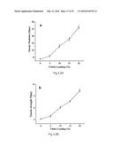 COMPOSITIONS AND STRUCTURES INCLUDING NONAGGREGATED STABILIZED CHARGED     POLYSACCHARIDE NANOFIBERS, METHODS OF MAKING NONAGGREGATED STABILIZED     CHARGED POLYSACCHARIDE NANOFIBERS, AND METHOD OF MAKING STRUCTURES diagram and image