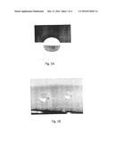 SUPERHYDROPHOBIC NANOTEXTURED POLYMER AND METAL SURFACES diagram and image