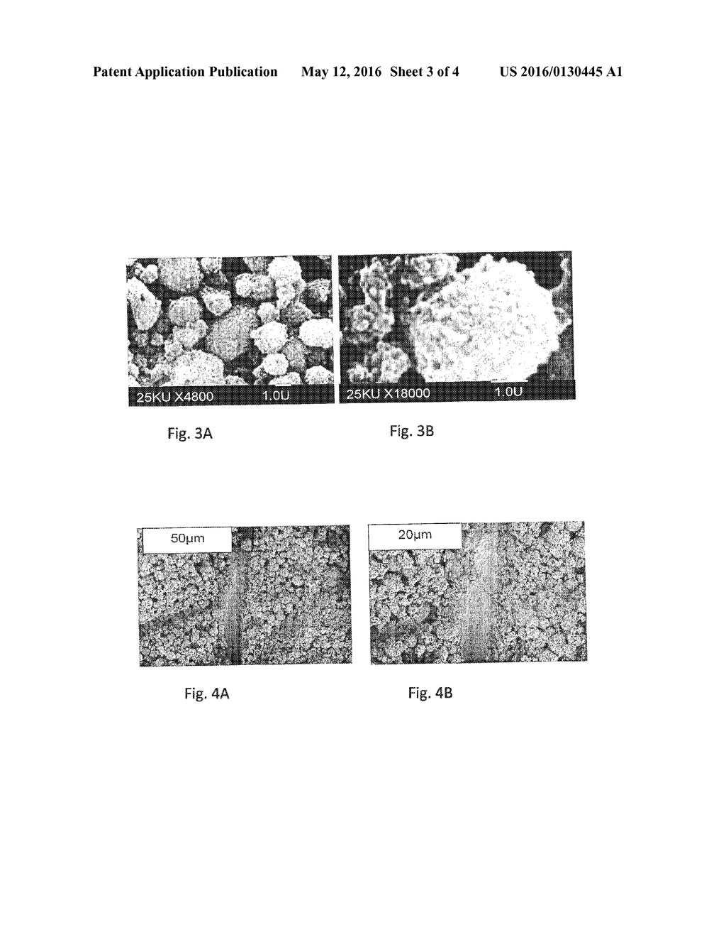 SUPERHYDROPHOBIC NANOTEXTURED POLYMER AND METAL SURFACES - diagram, schematic, and image 04