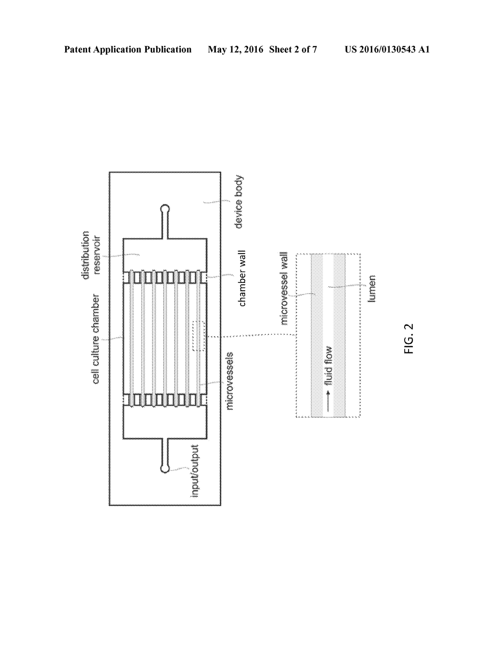 Modular Microtube Network for Vascularized Organ-On-A-Chip Models - diagram, schematic, and image 03