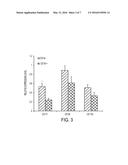 ENHANCED DIFFERENTIATION OF MESENCHYMAL STEM CELLS diagram and image