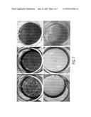 ENHANCED DIFFERENTIATION OF MESENCHYMAL STEM CELLS diagram and image