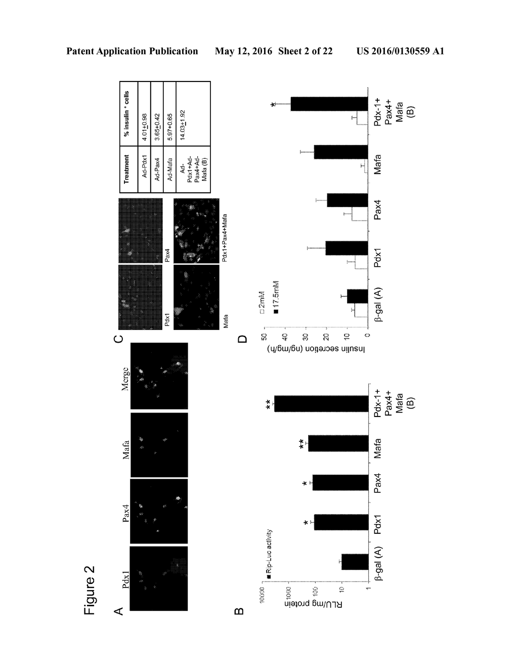 CELL POPULATIONS, METHODS OF TRANSDIFFERENTIATION AND METHODS OF USE     THEREOF - diagram, schematic, and image 03