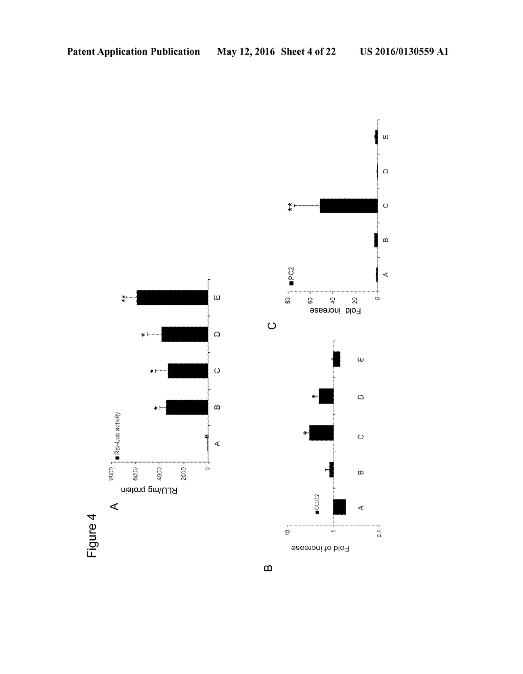 CELL POPULATIONS, METHODS OF TRANSDIFFERENTIATION AND METHODS OF USE     THEREOF - diagram, schematic, and image 05