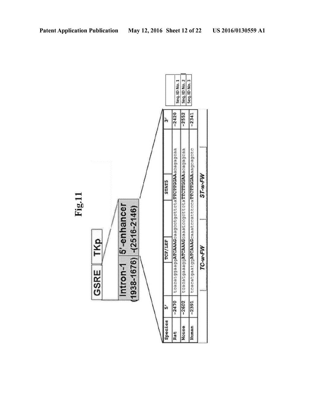 CELL POPULATIONS, METHODS OF TRANSDIFFERENTIATION AND METHODS OF USE     THEREOF - diagram, schematic, and image 13