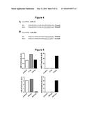 NUCLEOTIDE SEQUENCE MOTIFS DIRECTING NUCLEIC ACID LOCATION TO     EXTRACELLULAR VESICLES diagram and image