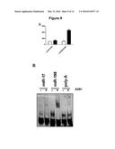 NUCLEOTIDE SEQUENCE MOTIFS DIRECTING NUCLEIC ACID LOCATION TO     EXTRACELLULAR VESICLES diagram and image