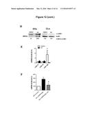 NUCLEOTIDE SEQUENCE MOTIFS DIRECTING NUCLEIC ACID LOCATION TO     EXTRACELLULAR VESICLES diagram and image