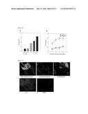 ADIPOCYTE-TARGETING NON-VIRAL GENE DELIVERY SYSTEM diagram and image