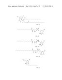 RNA AMIDATES AND THIOAMIDATES FOR RNAI diagram and image