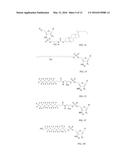 RNA AMIDATES AND THIOAMIDATES FOR RNAI diagram and image