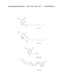 RNA AMIDATES AND THIOAMIDATES FOR RNAI diagram and image