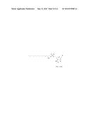 RNA AMIDATES AND THIOAMIDATES FOR RNAI diagram and image