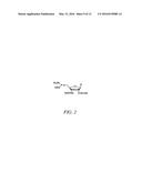 RNA AMIDATES AND THIOAMIDATES FOR RNAI diagram and image