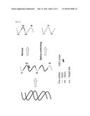 DOUBLE-STRANDED ANTISENSE NUCLEIC ACID WITH EXON-SKIPPING EFFECT diagram and image