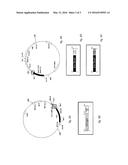 ARTIFICIAL DNA SEQUENCE WITH OPTIMIZED LEADER FUNCTION IN 5 (5 -UTR) FOR     THE OVER-EXPRESSION OF RECOMBINANT PROTEINS IN PLANTS AND METHOD FOR THE     PRODUCTION OF RECOMBINANT PROTEINS IN PLANTS diagram and image