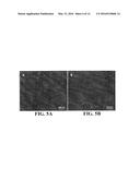 FREEZE-DRIED POLYELECTROLYTE COMPLEXES THAT MAINTAIN SIZE AND BIOLOGICAL     ACTIVITY diagram and image