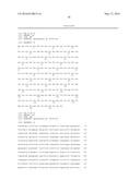 Sphingomonas Strains Producing Greatly Increased Yield of PHB-Deficient     Sphingan (Diutan) diagram and image