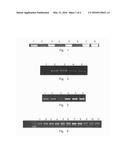 METHOD AND APPARATUS FOR AMPLIFYING DNA FRAGMENT BASED ON CONTROLLING PH     CHANGE OF REACTION SOLUTION diagram and image