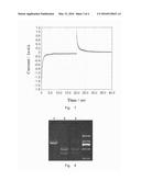 METHOD AND APPARATUS FOR AMPLIFYING DNA FRAGMENT BASED ON CONTROLLING PH     CHANGE OF REACTION SOLUTION diagram and image