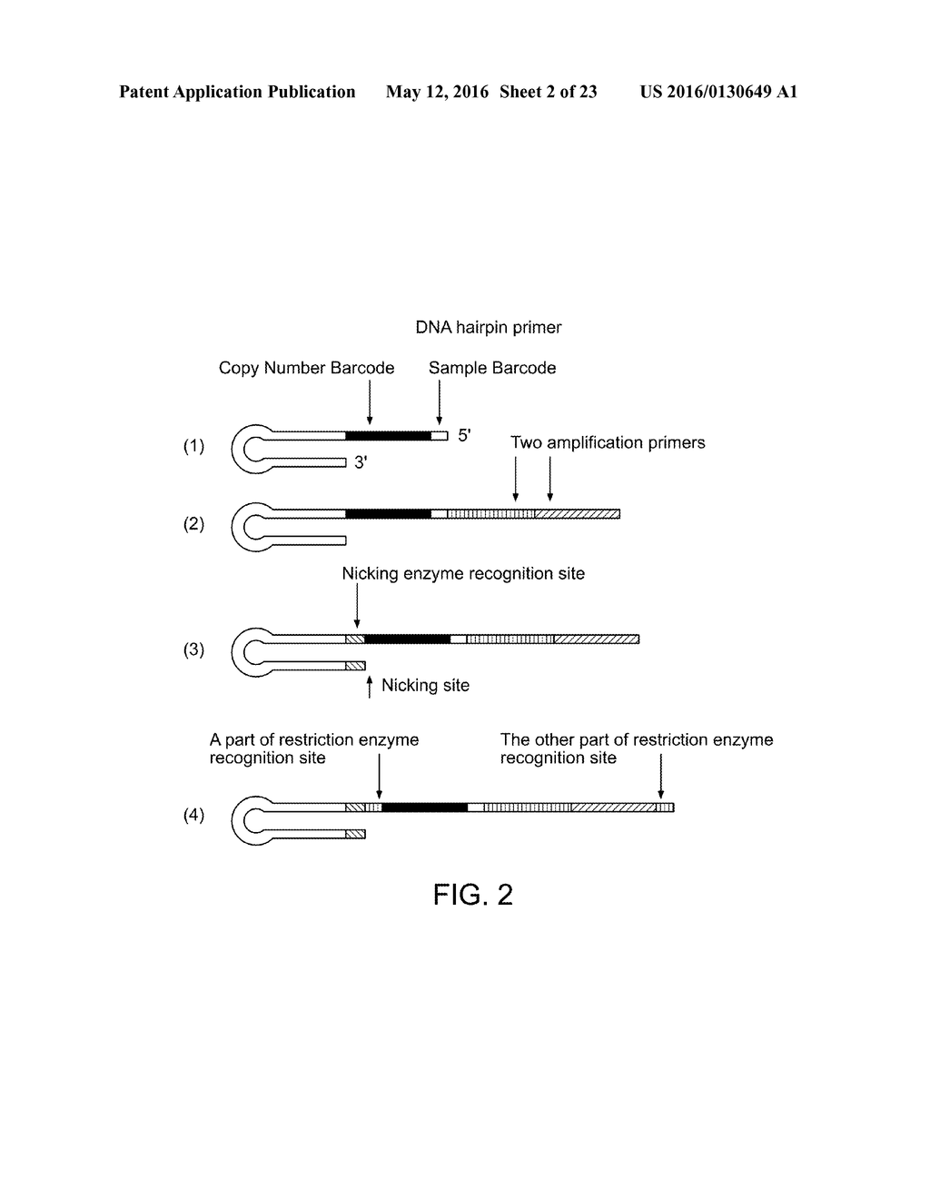 Single Cell Nucleic Acid Detection and Analysis - diagram, schematic, and image 03